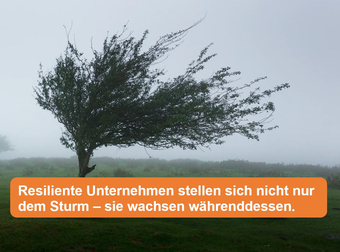 Beitragsbild für resiliente Unternehemen