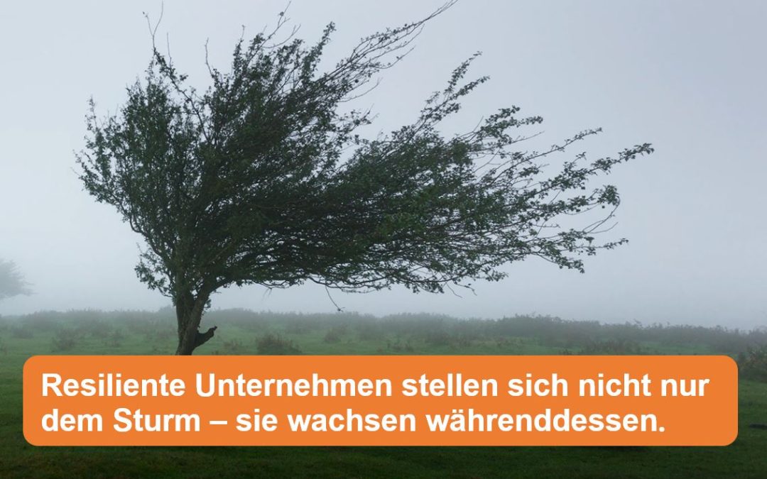 Organisationale Resilienz – das widerstandsfähige Unternehmen